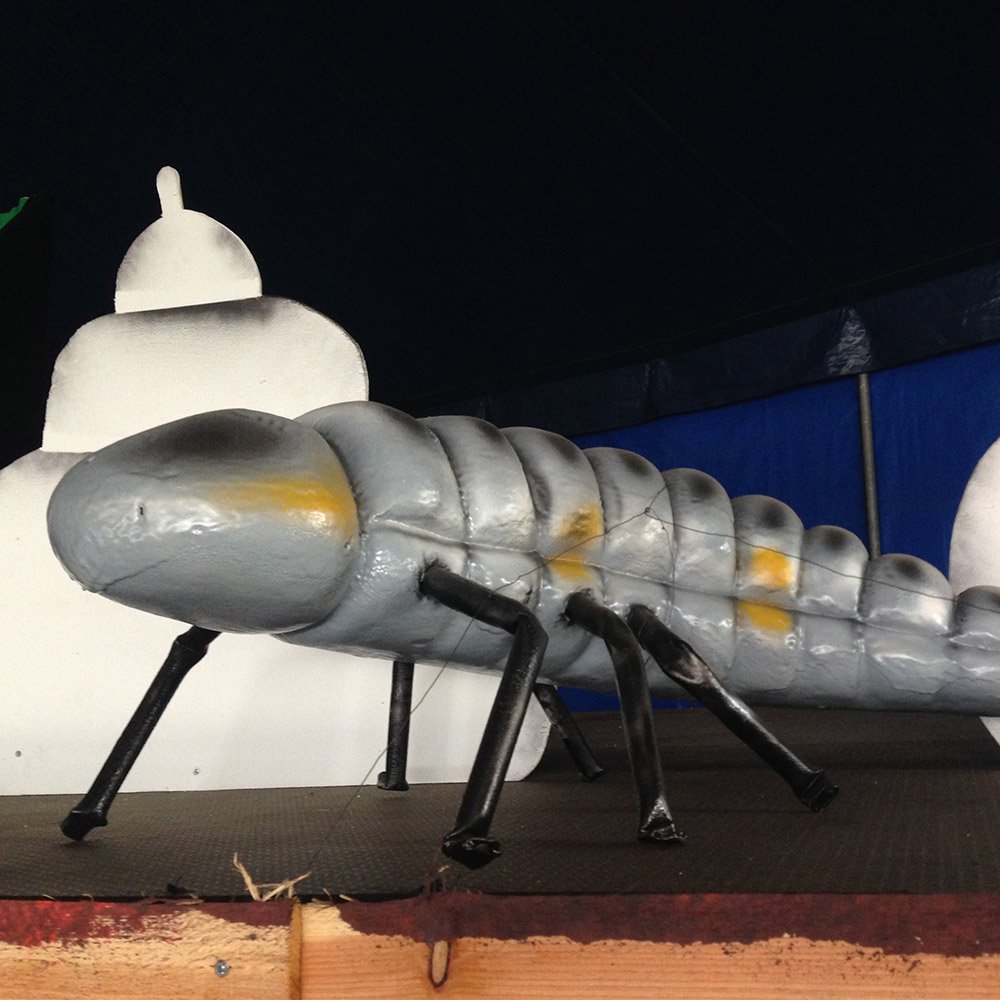 Caterpillar_grey_03W.jpg