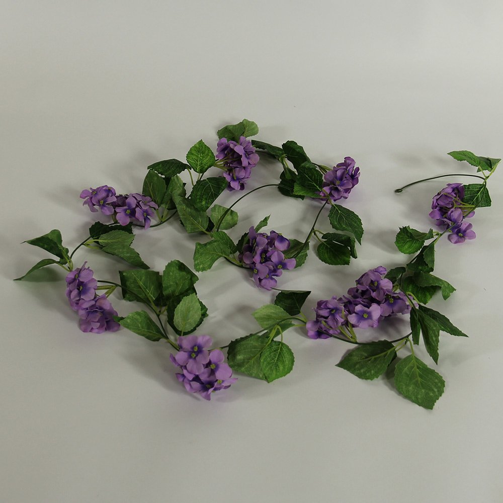 Plants - Hortensia Lavender  (streng)