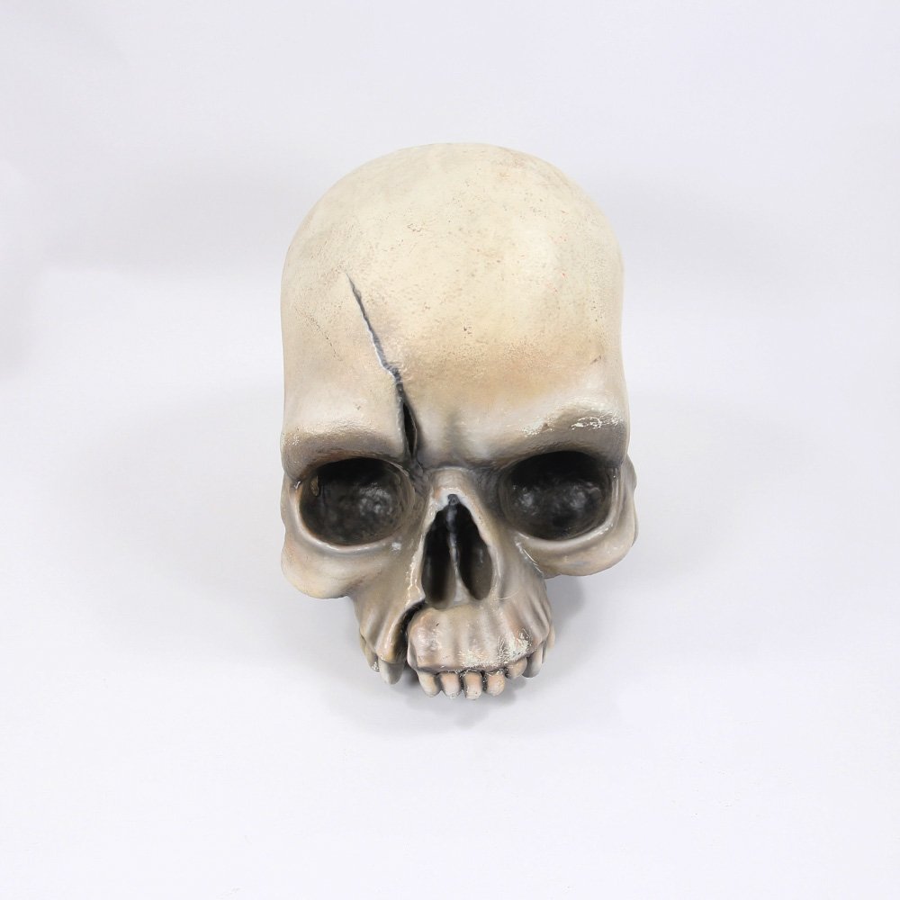 Human Skull Small
