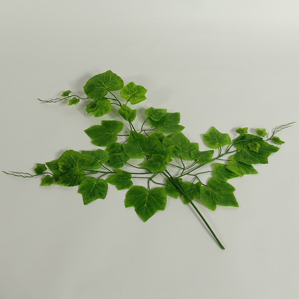 Plants - Ivy Plant Set (klimop) - per 12